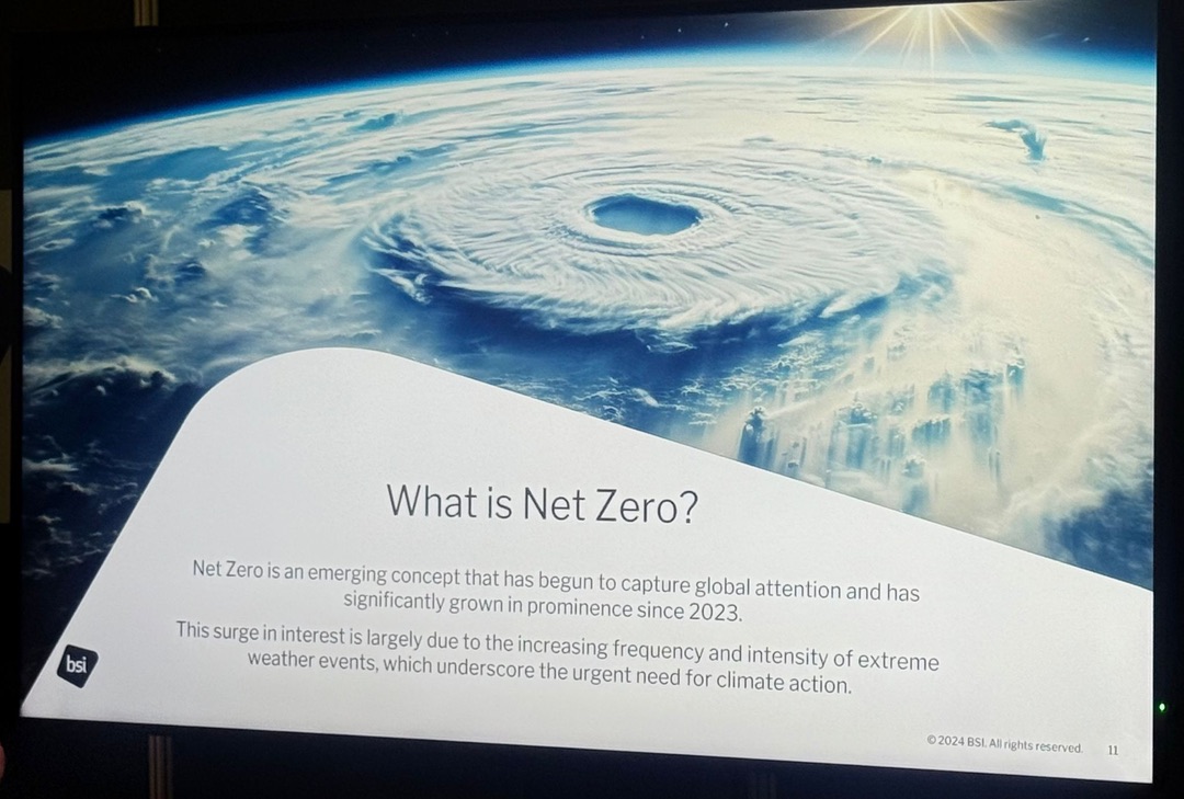 BSI presentation slide asking What is Net Zero?