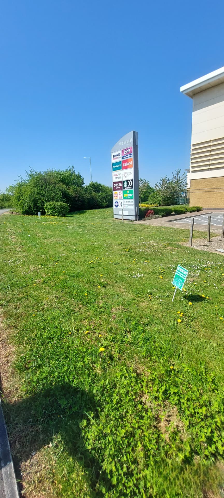 Neatscourt retail park meadow during No Mow May
